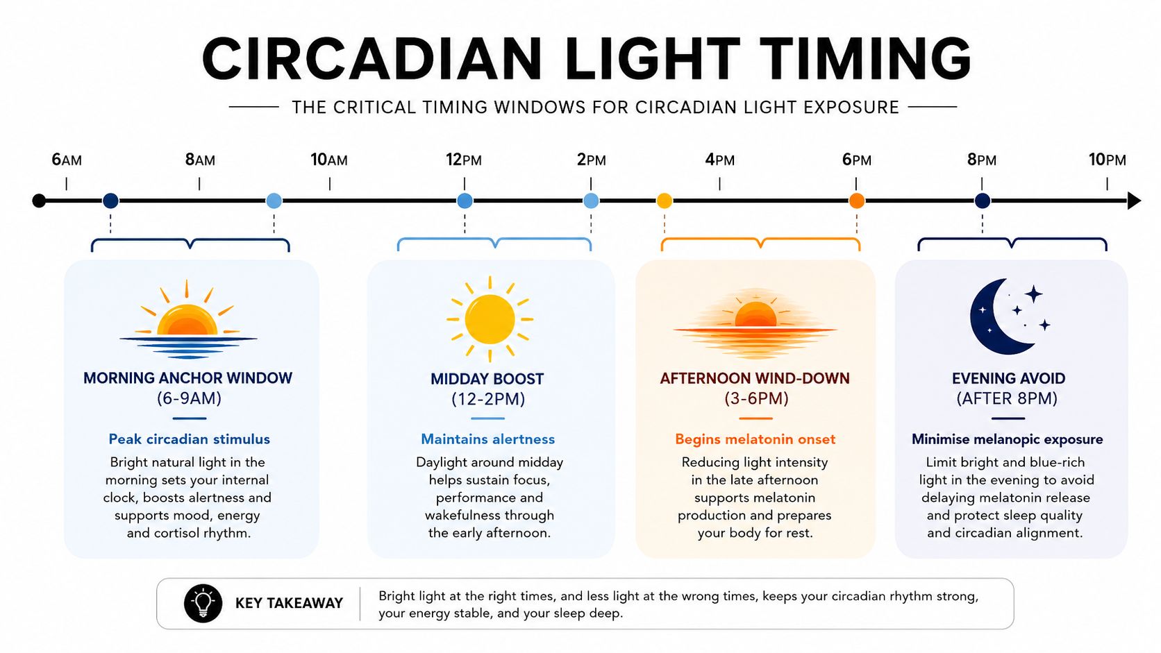 A diagram illustrating optimal light exposure timing throughout the day to support a healthy human circadian rhythm.