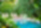Outdoor swimming pool with loungers and planted borders